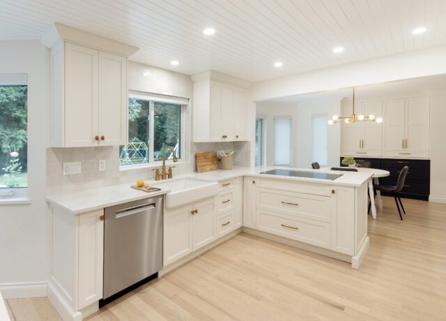 White Kitchen Cabinets - Soft Modern